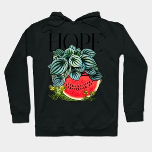 PAPEROMIA WATERMELON TSHIRT Hoodie